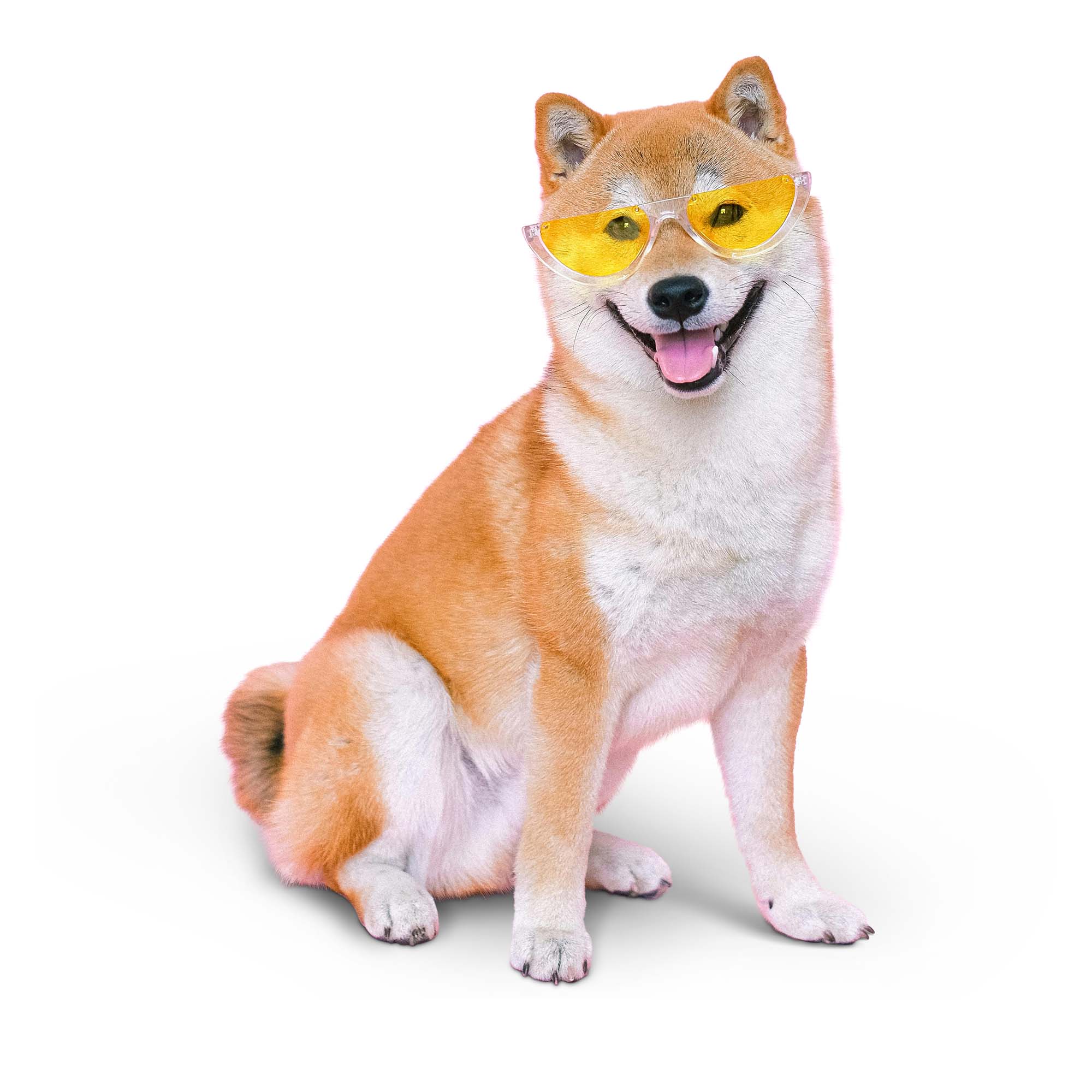 Image Masking After