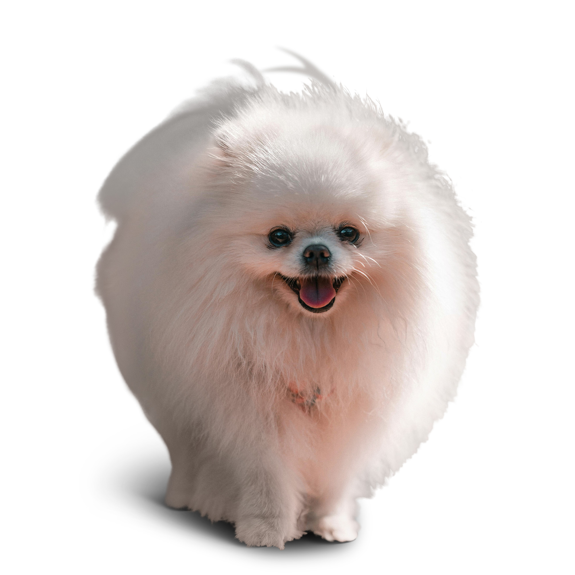 Image Masking After