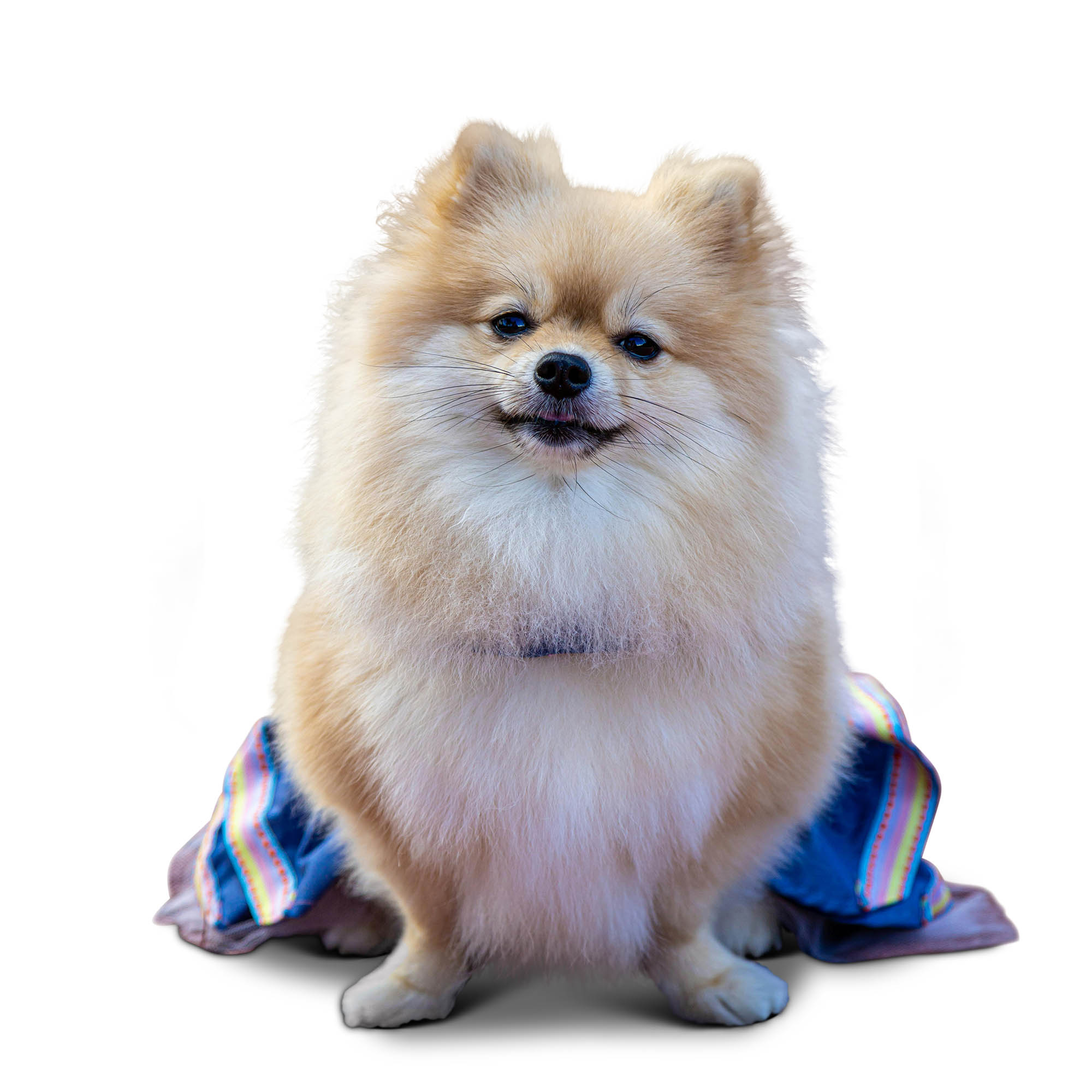 Image Masking After